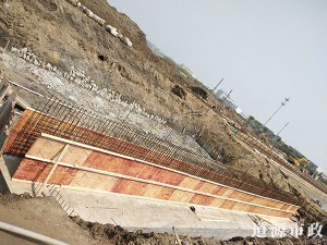 興園路