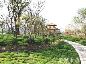濱江工業(yè)園區(qū)-通揚(yáng)路